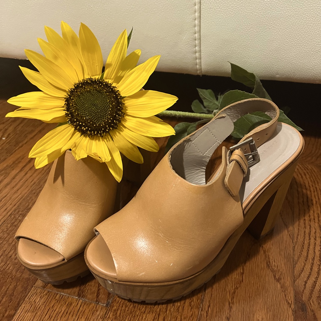 A Shoe That Will Make You
